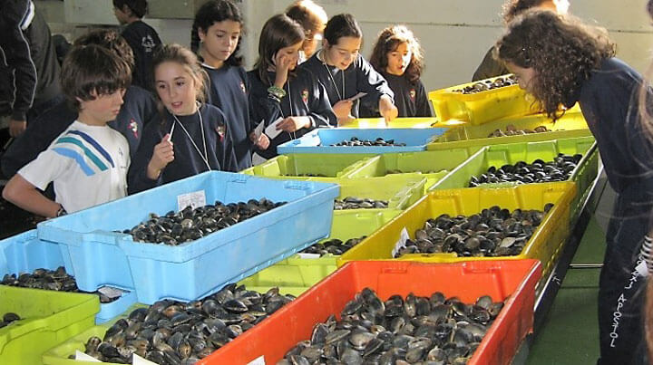 pescaturismospain.com excursiones de marisqueo en Cambados Galicia